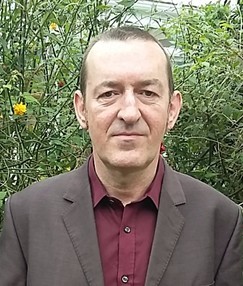 Sean Sullivan